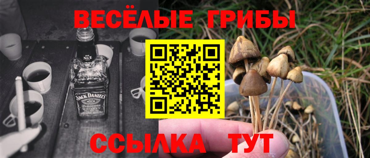 Псилоцибиновые грибы Psilocybe Семёнов